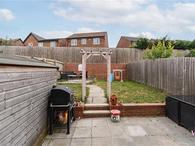 Picture 25